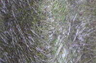 Shenval fibreglass roof work